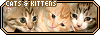 Cats Kittens Fanlisting