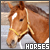 Horses Fanlisting